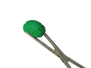 brain in tweezers
