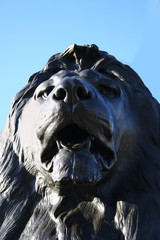 trafalgar square lion statue