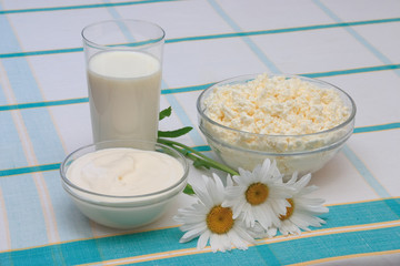 milk, sour cream and cottage cheese