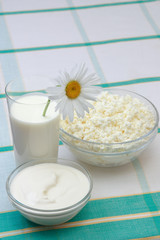 milk, sour cream and cottage cheese