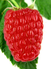 raspberry