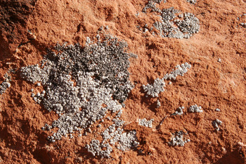 red rock