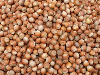 hazelnuts with shells