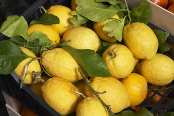 lemon