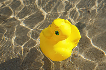 Obraz premium toy duck