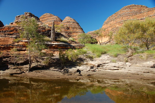 termite mound in purnunulu national park