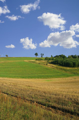 Obraz premium idyllic summer scenery