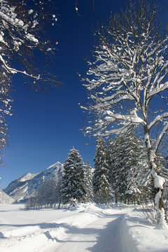 winterweg