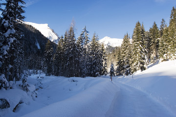 Fototapeta na wymiar winterwanderweg3