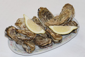 assiette d'huitres