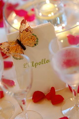 papillon de f&ecirc;te