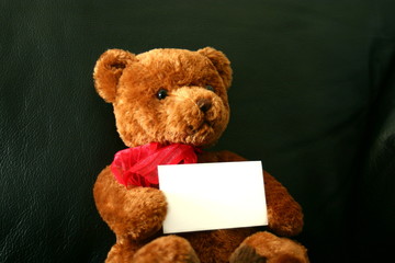 teddy with card