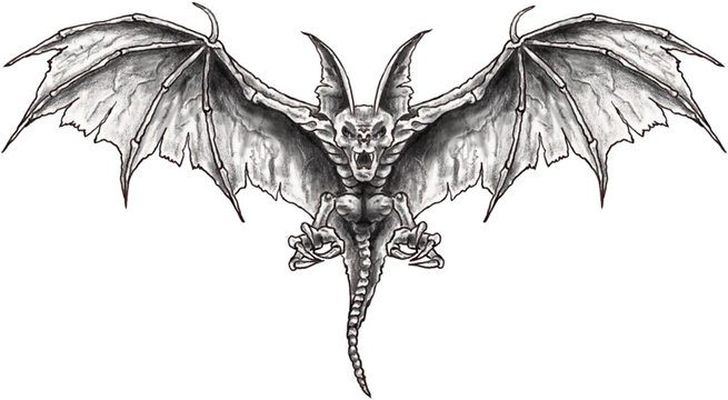 bat - fledermaus - zeichnung