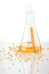 bio-fuel 2