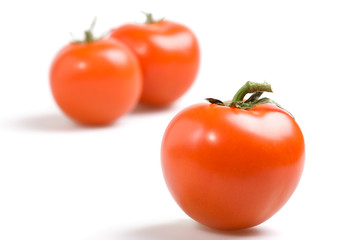 fresh tomatoes