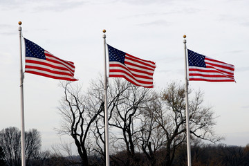 american flags