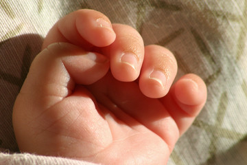 main de bébé