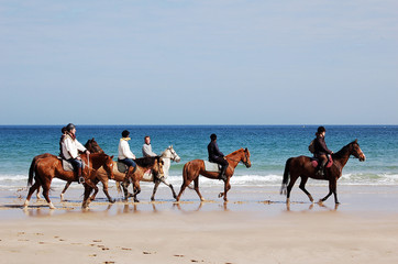 randonnée à cheval sur la plage