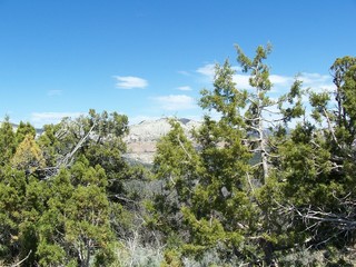 colorado reeder mesa summer landscape