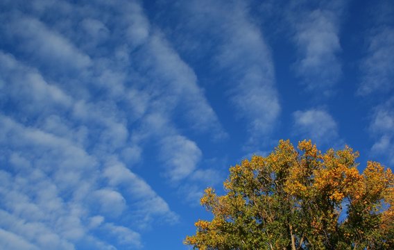 stock photo of clouds sky and tree