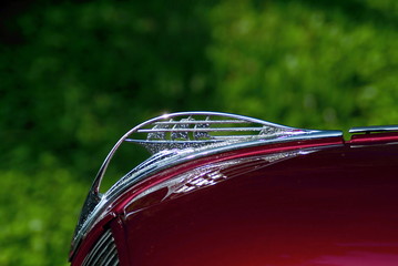 chrome hood ornament