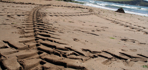 tyre tracks