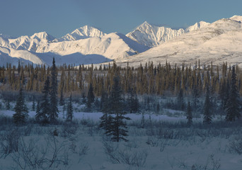 Fototapeta na wymiar ośnieżone szczyty zakresie alaska