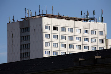Fototapeta premium antennenwald
