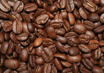 coffee beans