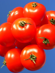 tomaten