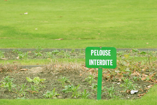 pelouse interdit