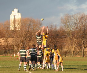 rugby