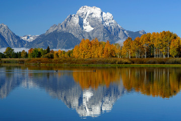 fall in the tetons