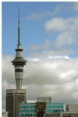 Naklejka premium auckland buildings