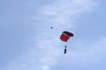 tandem skydivers