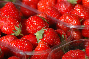 les fraises