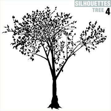 tree silhouette 04
