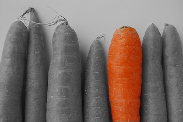 carottes