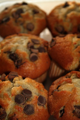 chocolate chip muffins