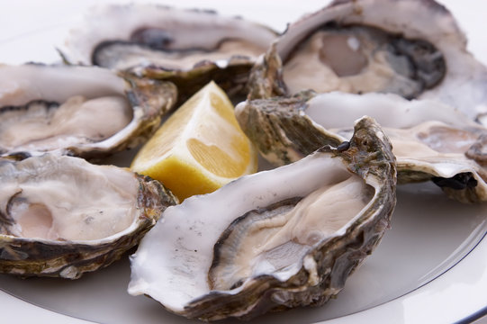 oysters and lemon