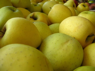 pomme golden