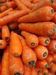 carotte