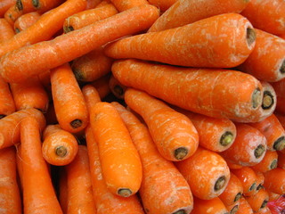 carotte