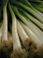 poireau
