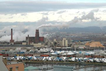 usine de pate et papier