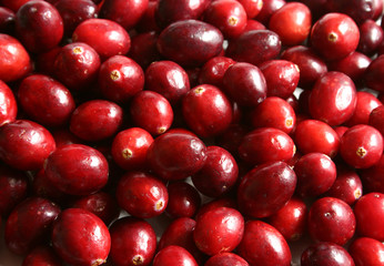bunch of cranberries