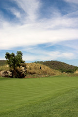blue flag on the green.