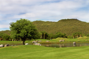 Fototapeta na wymiar golf course landscape.