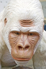 white ape