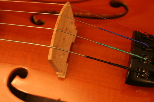 violin bridge